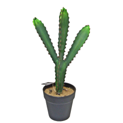 Kaktus dekoracyjny Potrójny 45cm